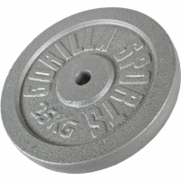 Valurautainen levypaino 25kg