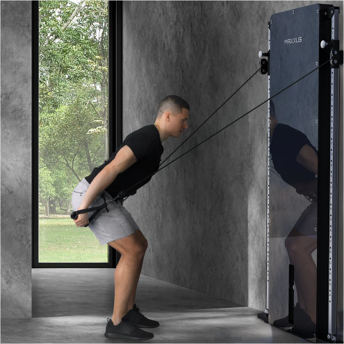 MAXXUS SmartGym H8 Taljalaite Seinään, 50kg Painopakka, 14,3x97x198cm, Musta