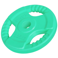 YKSITTÄISKAPPALE! Kumipinnoitteinen Levypaino 1,25kg, 30mm Rautainen Levypaino Otekahvoilla, Vaalean Vihreä