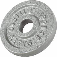 YKSITTÄISKAPPALE! Levypaino 1,25kg, 30mm Rautainen Levypaino, Harmaa