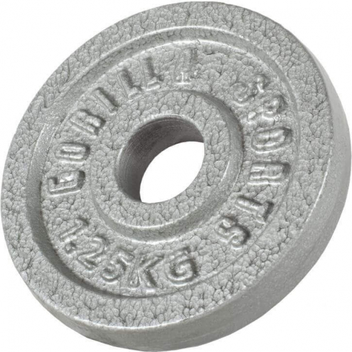 YKSITTÄISKAPPALE! Levypaino 1,25kg, 30mm Rautainen Levypaino, Harmaa