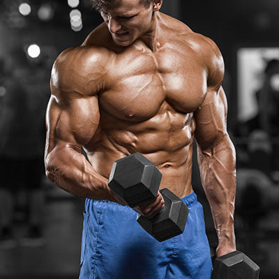 Arnold Golden Six: Lihasmassaa 6 viikon ohjelmalla