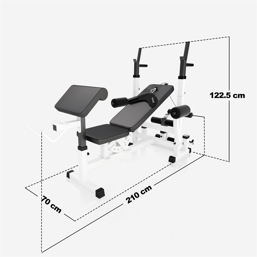 Voima-asema ja 100 kg muovipinnoitettu levysarja