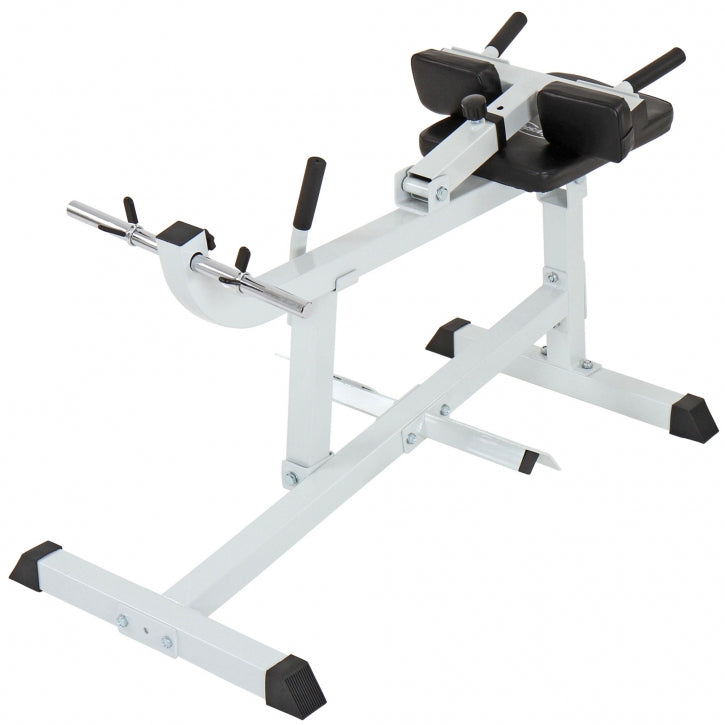 Physionics Pohjelaite Säädettävä Pehmustettu Ø 25mm Levypainoille Valkoinen