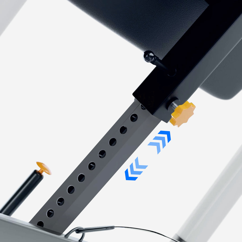 MAXXUS Selkäkippi GRAVITY PRO 2 / Inversiopenkki Säädettävä Valkoinen/Musta