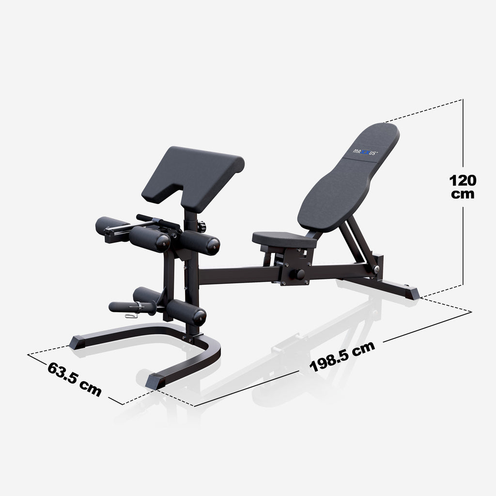 MAXXUS Smith-Laite 9.1 / Kuntokeskus Ja Säädettävä Painopenkki Ø 50/51mm Levypainoille