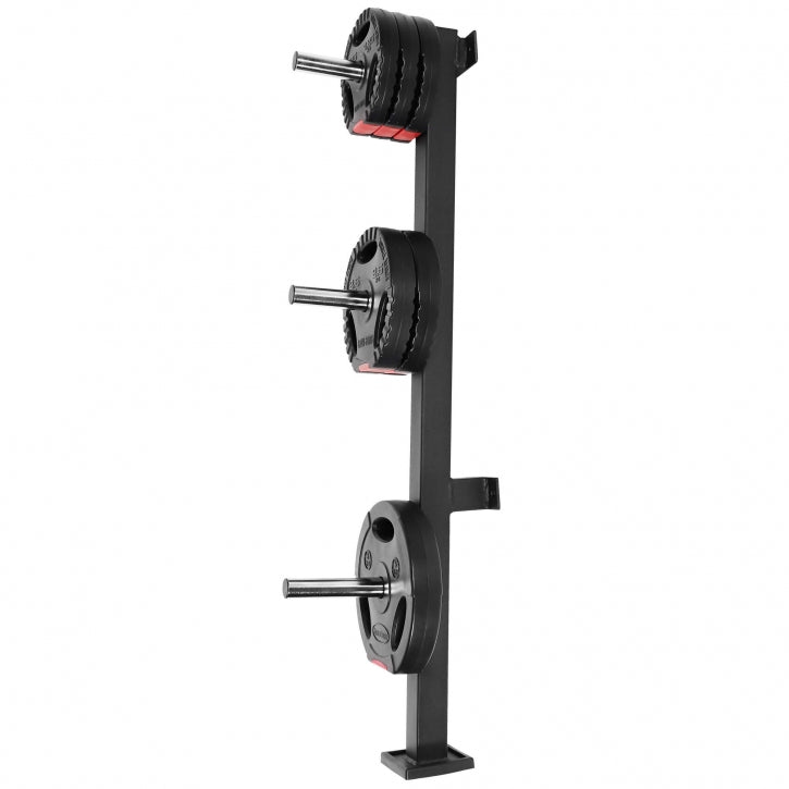 Levypainoteline, Kompakti, Seinäkiinnitys, Ø 30mm, 300kg, Musta