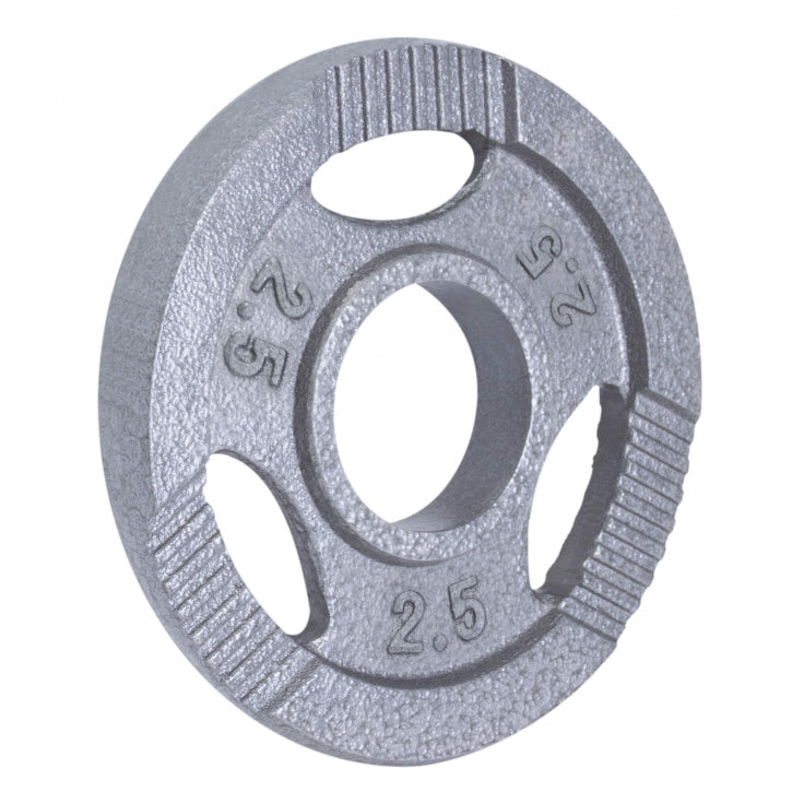 Levypaino 2,5kg, 50mm Rautainen Levypaino Otekahvoilla, Harmaa