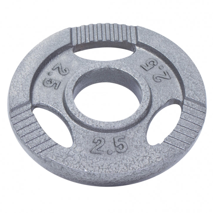 Levypaino 2,5kg, 50mm Rautainen Levypaino Otekahvoilla, Harmaa