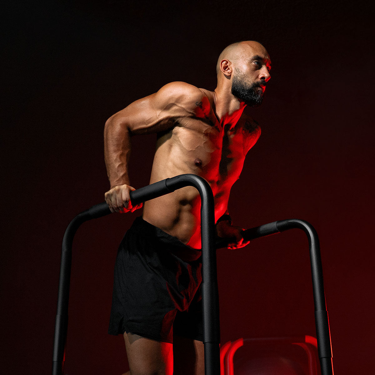 Dippitelineet / Nojapuut Kotiin 94 cm, 3 Eri Väriä, 200 kg painoraja